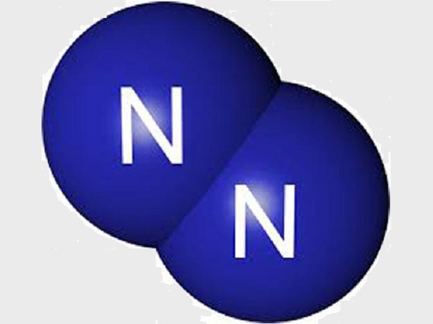 N2--2